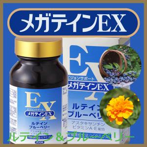 メガテインEX　ブルーベリーエキス末　ルテイン加工食品　200粒